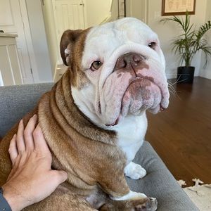 Meet your Posher, Jason